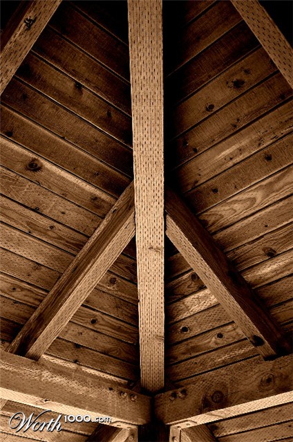 Photography by tlovesd