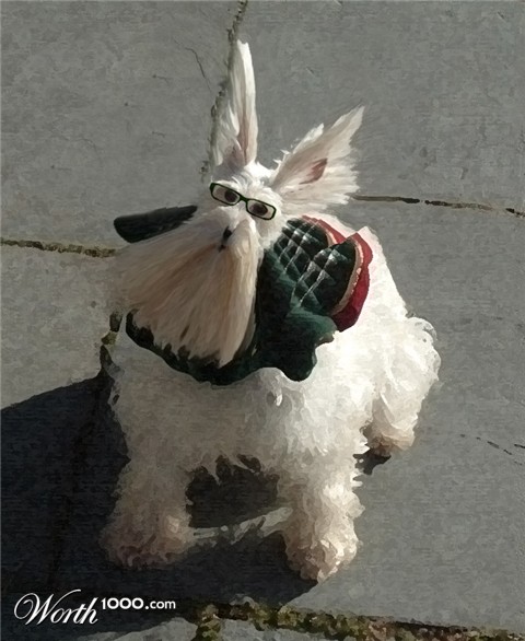 Photoshop Design by heidiinc