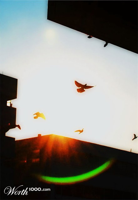 Photography by YaAmir