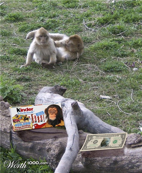 Photoshop Design by KlausTrophobie