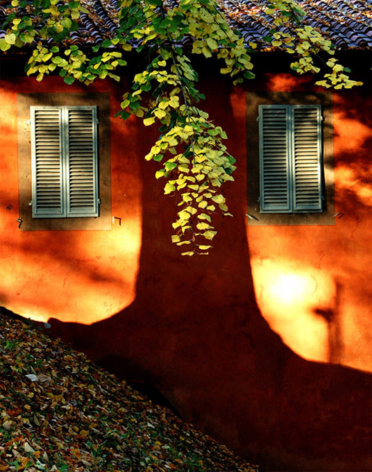 Fotografie von toscio für DesignCrowd (Community Contests) | Design #8991014