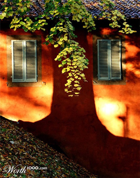 Photography by toscio