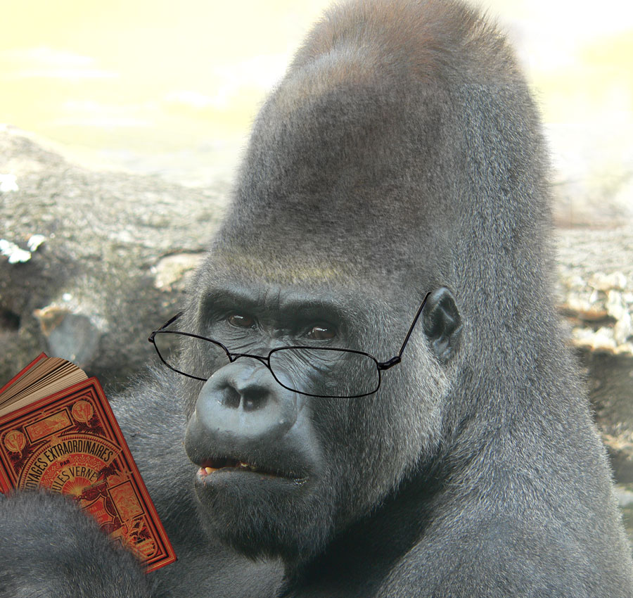 Design Photoshop par Bastrofski pour DesignCrowd (Community Contests) | Design #8991948