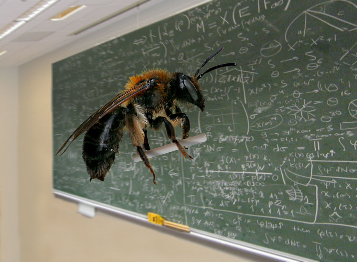 Photoshop Design by PogelPig for DesignCrowd (Community Contests) | Design #8991955