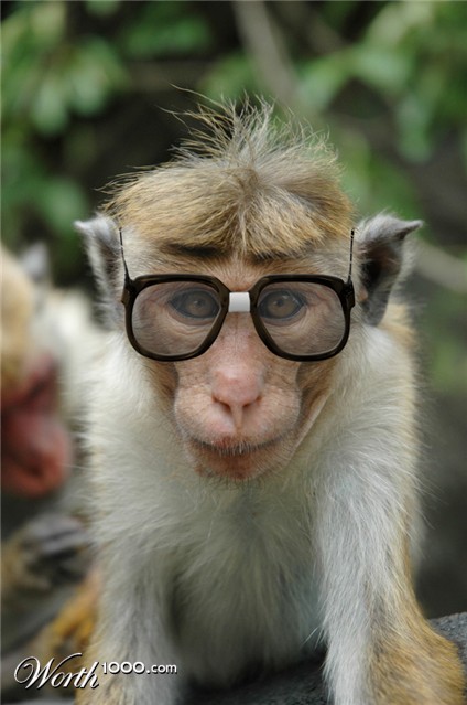 Photoshop Design by phillpsp