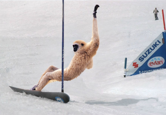 Photoshop Design by PeterAAAWelch for DesignCrowd (Community Contests) | Design #8992947