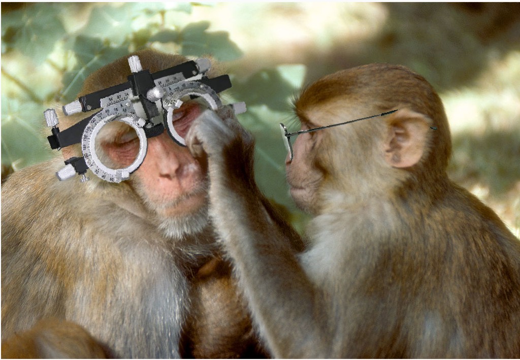 Photoshop Design by Fishwife for DesignCrowd (Community Contests) | Design #8992945