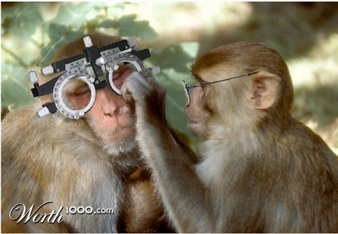 Photoshop Design by Fishwife