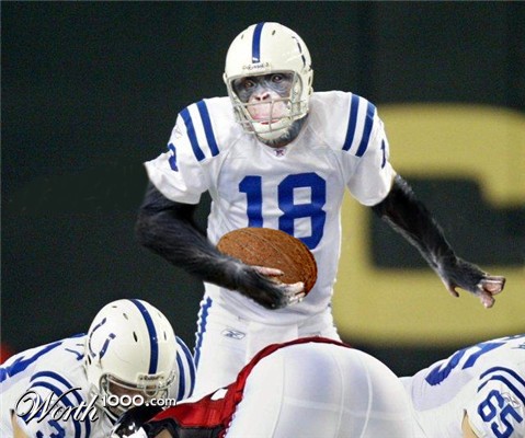 Photoshop Design by bicyclewilli