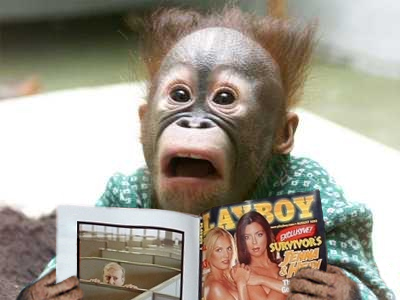 Diseño de Photoshop por jskybld para DesignCrowd (Community Contests) | Diseño #8992968