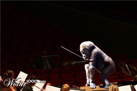 Photoshop Design by Perspectics