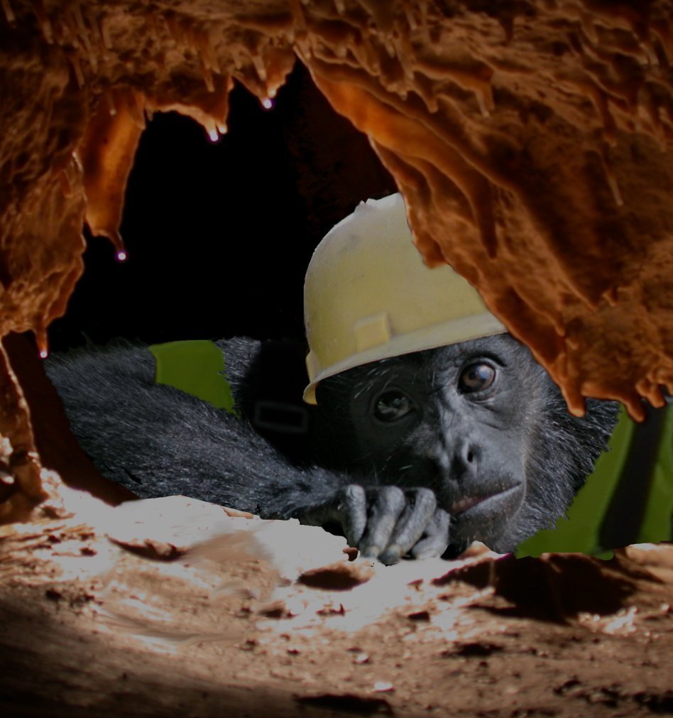 Photoshop Design by doehlman for DesignCrowd (Community Contests) | Design #8992954