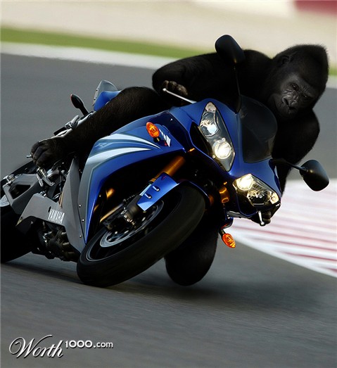 Photoshop Design by exorcist