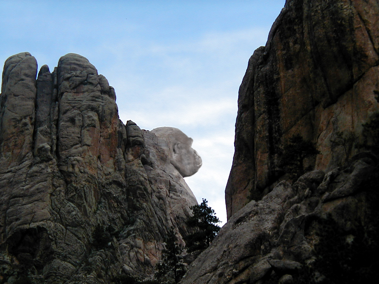 Photoshop Design by patje148 for DesignCrowd (Community Contests) | Design #8993018