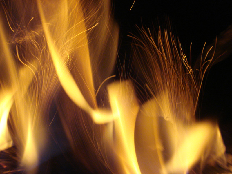 Photographie par narcissa pour DesignCrowd (Community Contests) | Design #8995514