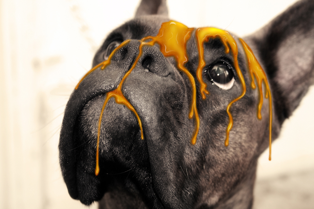 Photoshop-Design von hotsports für DesignCrowd (Community Contests) | Design #8994245