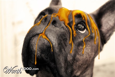 Photoshop Design by hotsports