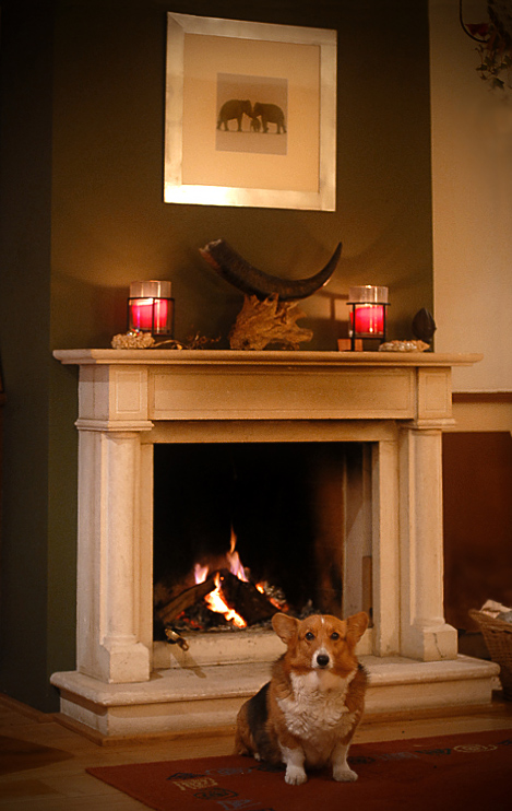 Photography by Marian for DesignCrowd (Community Contests) | Design #8995692