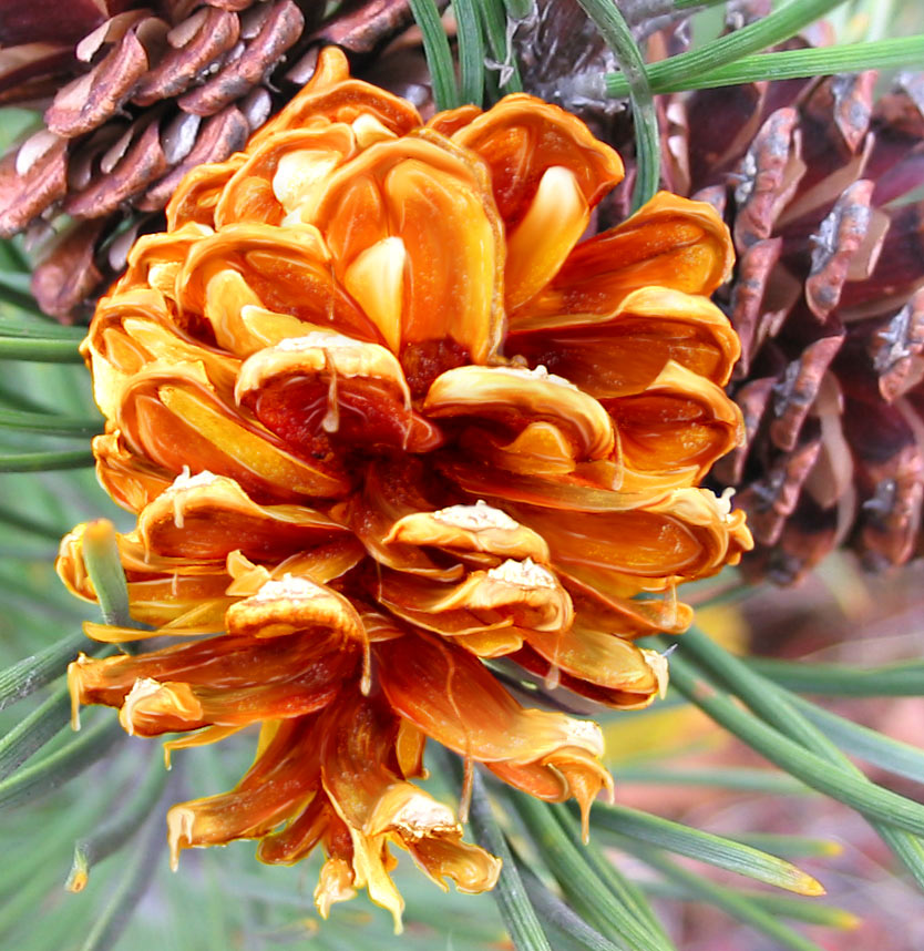 Photoshop-Design von jlboucher für DesignCrowd (Community Contests) | Design #8994261