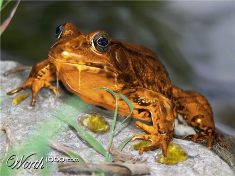 Photoshop Design by Tinkuuu