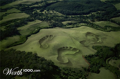 Photoshop Design by rosemountmn