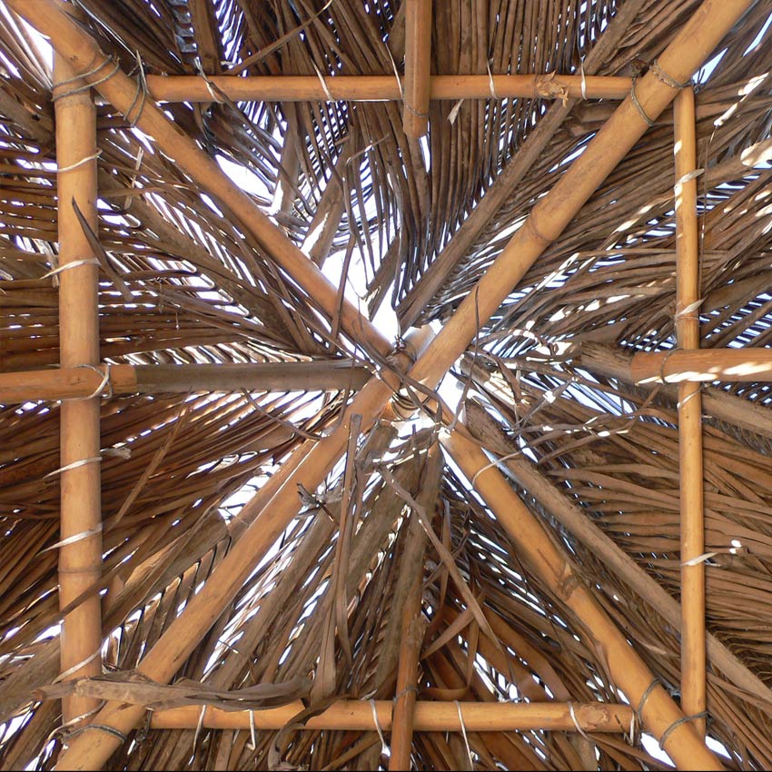 Photography by sausirhi for DesignCrowd (Community Contests) | Design #8991140