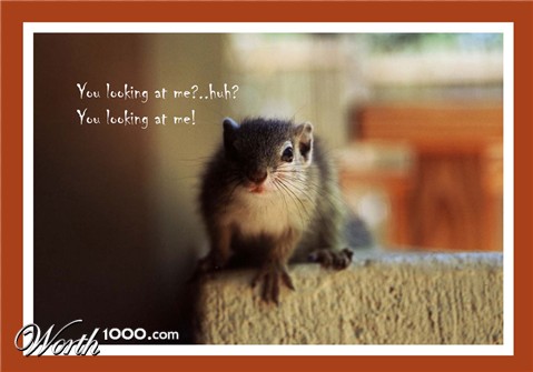 Photography by skipperw