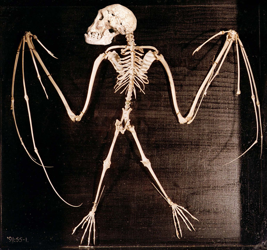 Photoshop-Design von markymarkuk für DesignCrowd (Community Contests) | Design #8989896