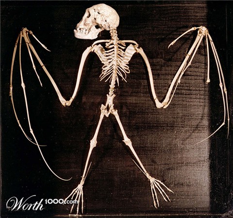 Photoshop Design by markymarkuk