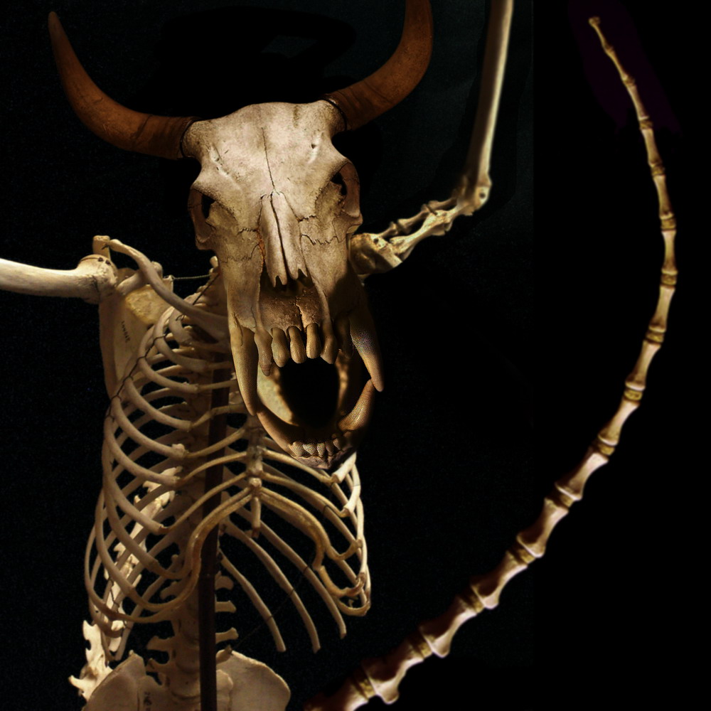 Photoshop Design by xbayus for DesignCrowd (Community Contests) | Design #8989908