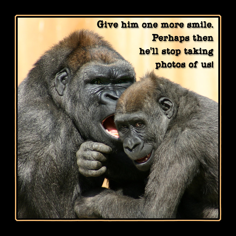 Photography by SigloV for DesignCrowd (Community Contests) | Design #8996030