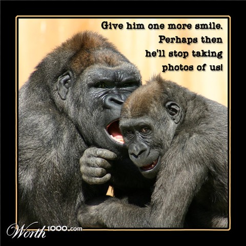 Photography by SigloV