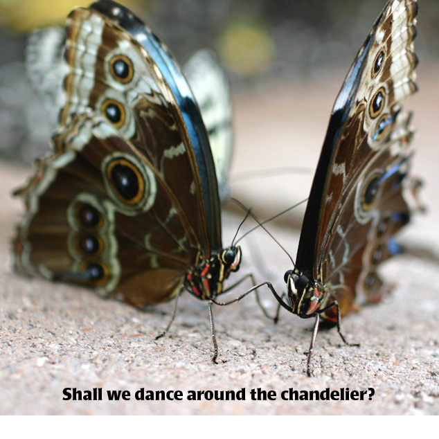 Photography by rosemountmn for DesignCrowd (Community Contests) | Design #8996036