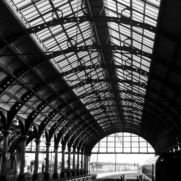 Fotografie von samsemila4u für DesignCrowd (Community Contests) | Design #8990423