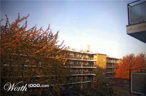 Photography by lennyegg