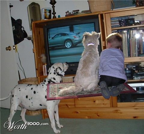 Photoshop Design by Fishwife