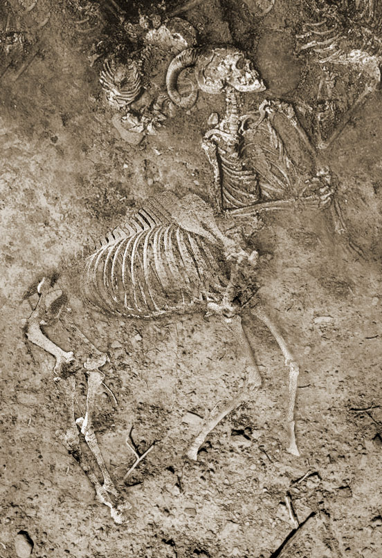 Photoshop Design by ThreeProngs for DesignCrowd (Community Contests) | Design #8989944