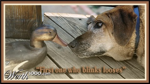 Photography by ClickChick