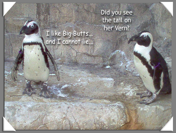 Photography by blueberr59 for DesignCrowd (Community Contests) | Design #8996048