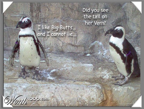 Photography by blueberr59