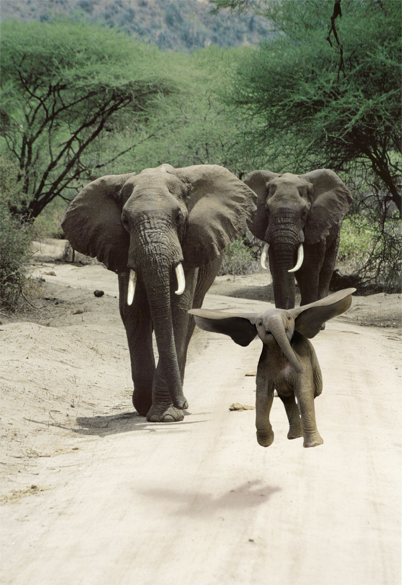 Diseño de Photoshop por Polynic para DesignCrowd (Community Contests) | Diseño #8989191