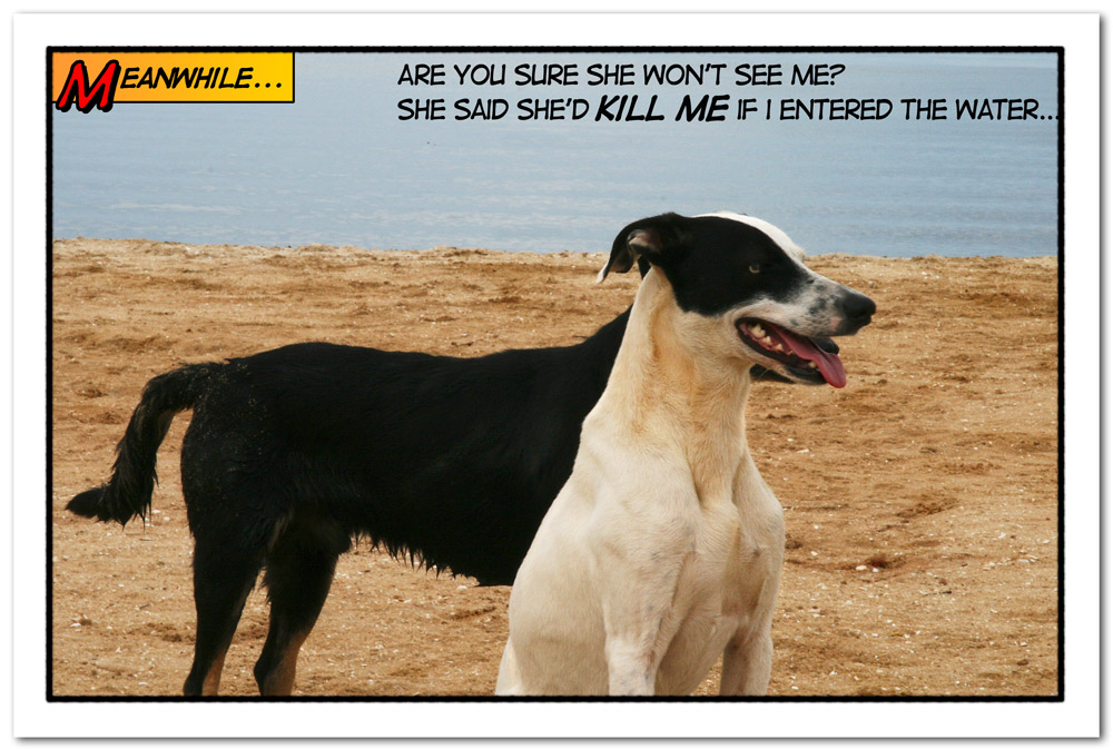 Photography by Pr4ktic for DesignCrowd (Community Contests) | Design #8996045