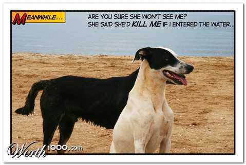 Photography by Pr4ktic