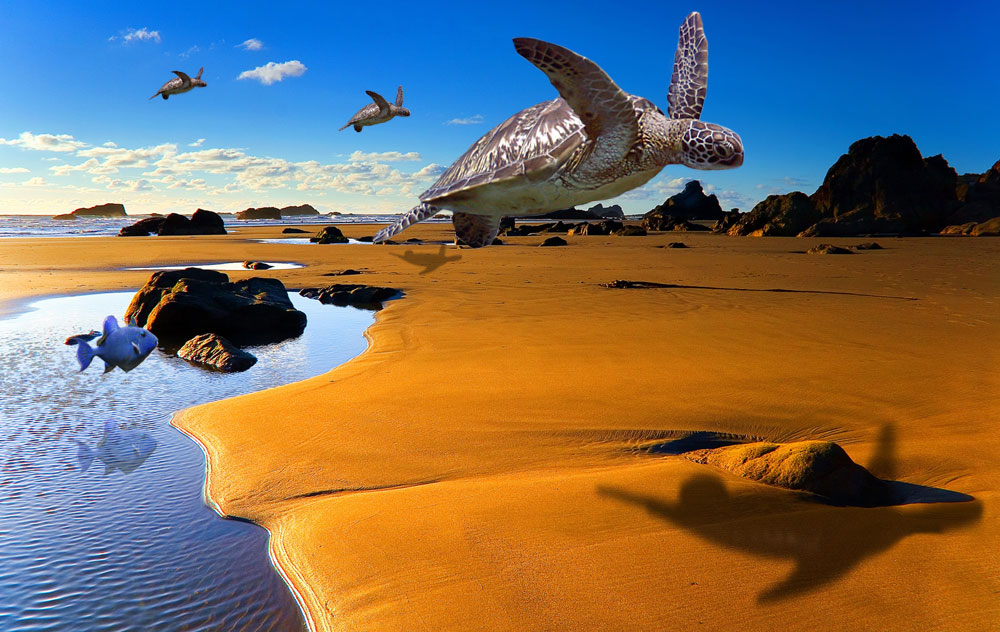 Photoshop Design by underworth for DesignCrowd (Community Contests) | Design #8989221