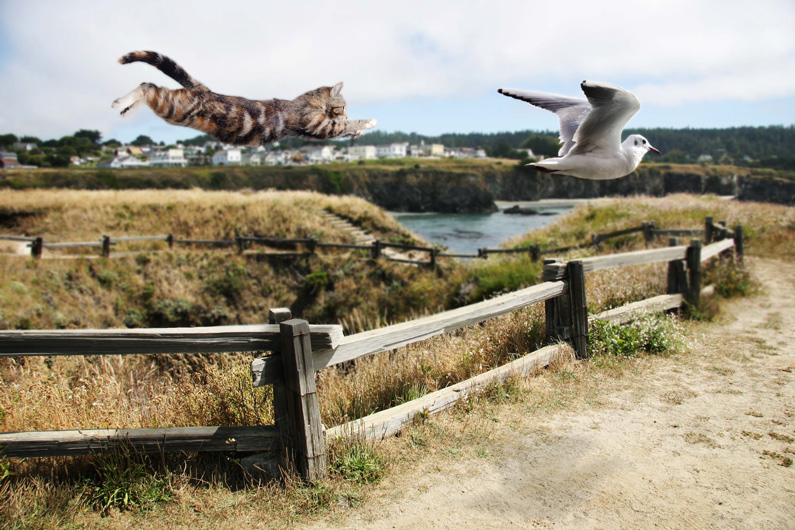 Diseño de Photoshop por ArchaicArtist para DesignCrowd (Community Contests) | Diseño #8989320