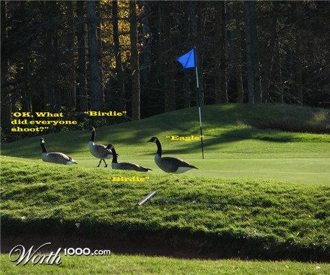 Photography by finnabun