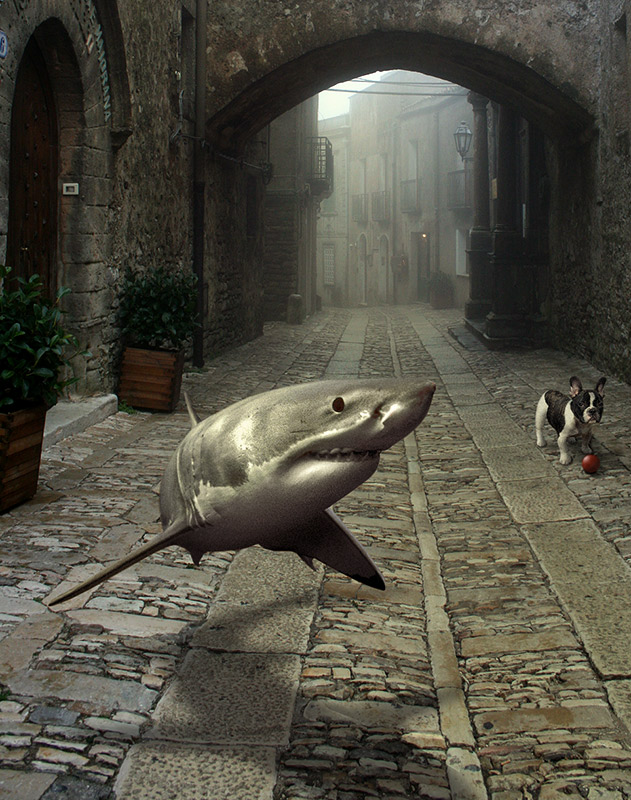 Photoshop-Design von DjangoLizell für DesignCrowd (Community Contests) | Design #8989306