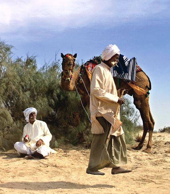 Diseño de Photoshop por Mandrak para DesignCrowd (Community Contests) | Diseño #8989303