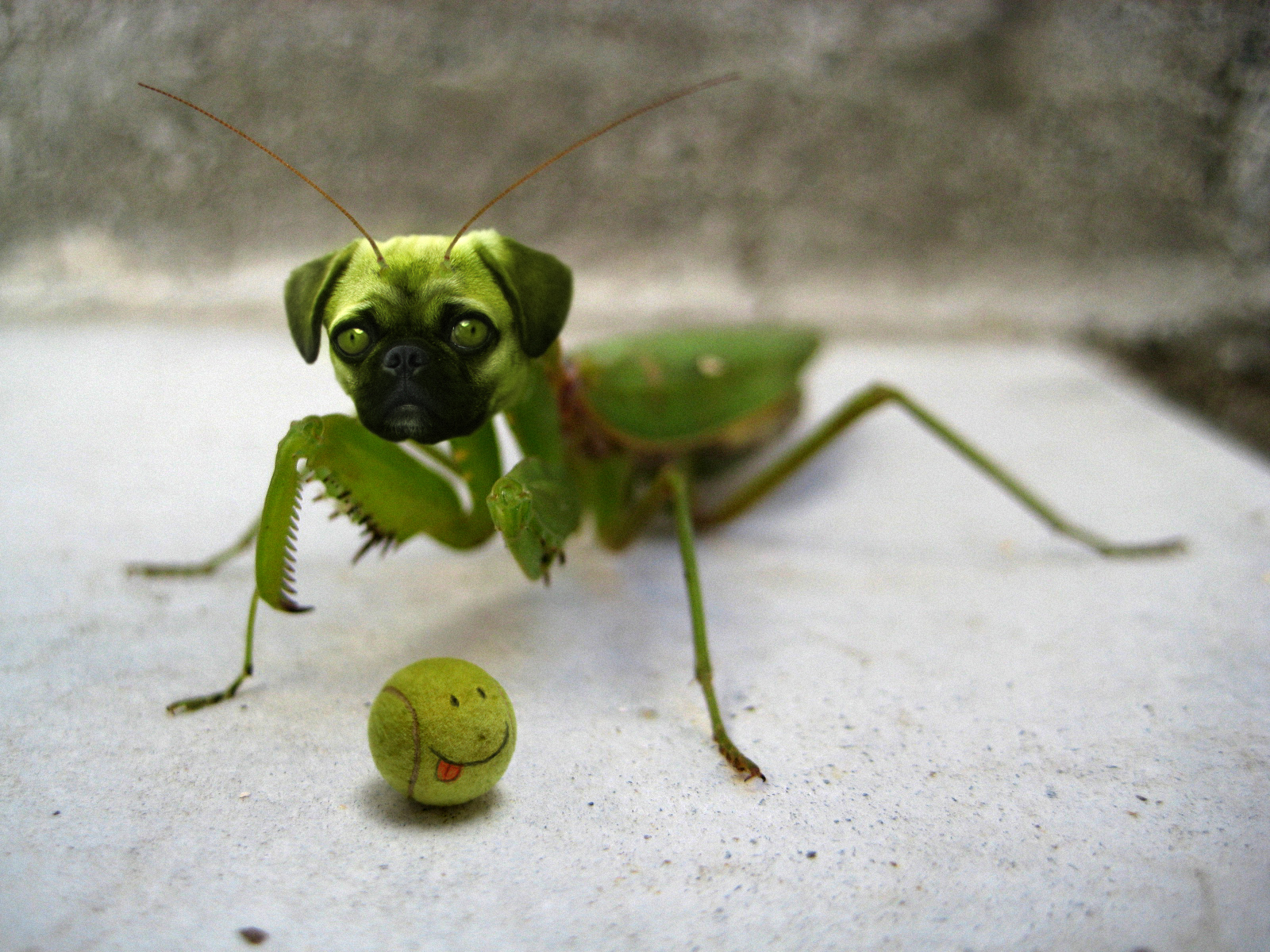 Diseño de Photoshop por JohnnyVegas para DesignCrowd (Community Contests) | Diseño #8991868