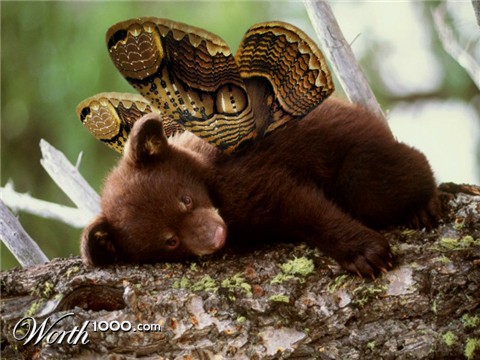 Photoshop Design by Anne Giguere